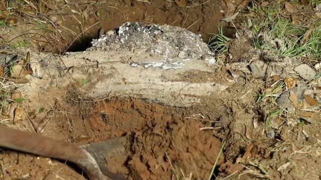 Casting an Ant Colony on a Log with Aluminum (Cast #116) смотреть онлайн