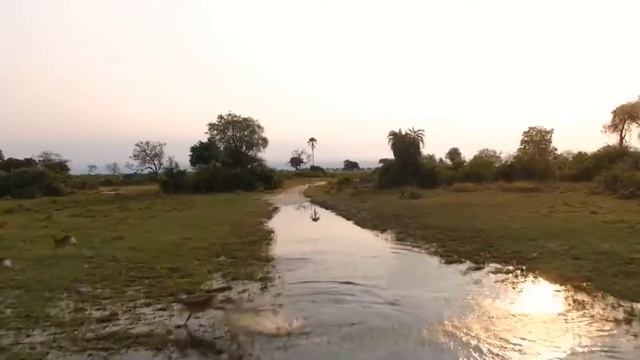 Africa | Африка смотреть онлайн
