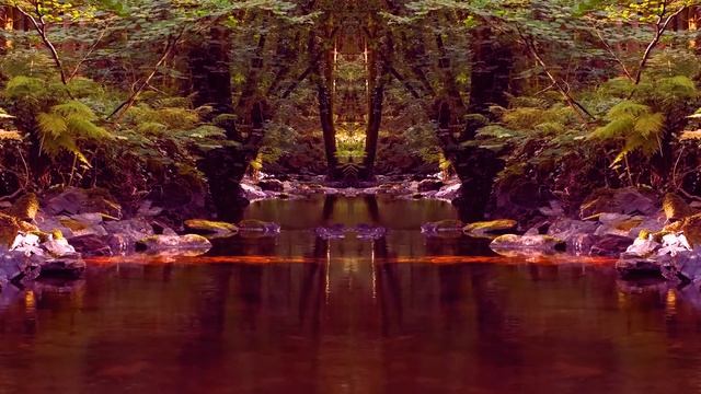 КРАСИВОЕ ПЕНИЕ ПТИЦ В ГЛУБИНЕ ЛЕСА, РАССЛАБЛЯЮЩИЕ ЗВУКИ ПРИРОДЫ