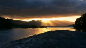 Миша Маваши - На века