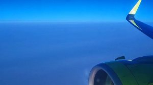 Перелёт Новосибирск - Владивосток. Airbus A320neo S7