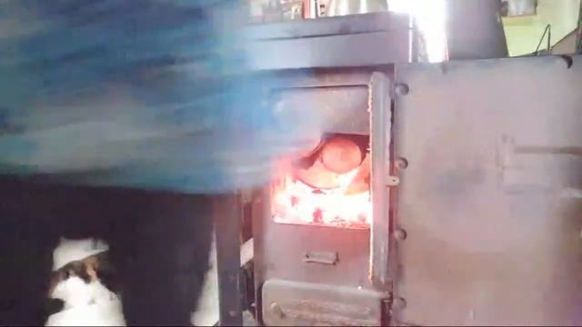 Jan26#live Fr The Old Homestead Built 1804 #calico #cat Wood?fire #eating #healthy #mukbang???? смотреть онлайн