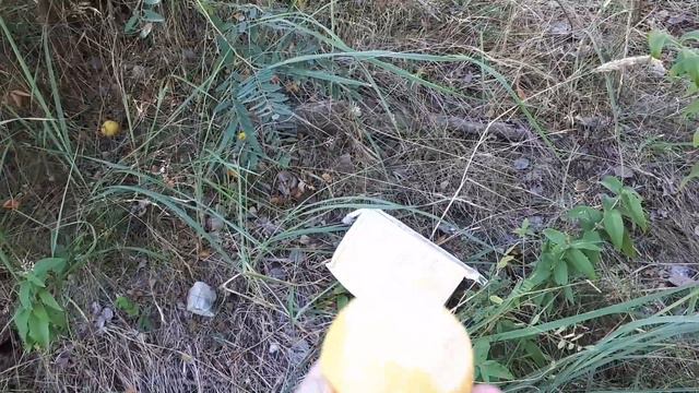 ЖАРА, НО КУПАТЬСЯ В РЕЧКЕ ОХОТЫ НЕТ!!!! смотреть онлайн