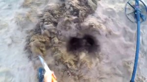 Что можно найти на пляже  В поисках золота с Дмитрием Мусихиным