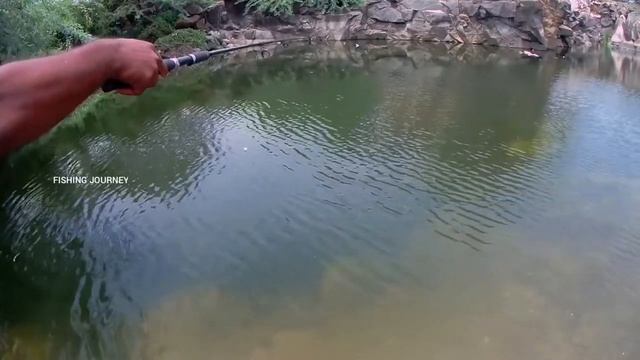 PEARL SPOT FISH CATCH FROM MOUNTAIN POOL | FISHING | கறி மீன்கள் |@FISHINGJOURNEY смотреть онлайн