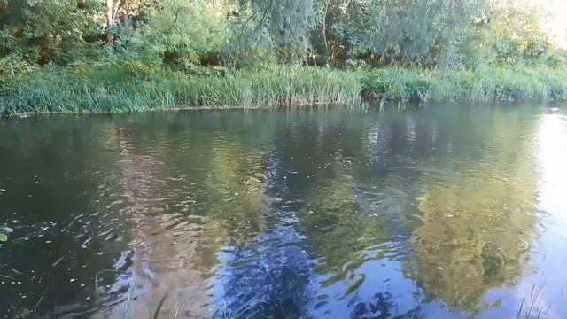 Прогулка по Гданську 2021 часть15. Здание старой водной мельницы,утка по китайски, тихая речка.