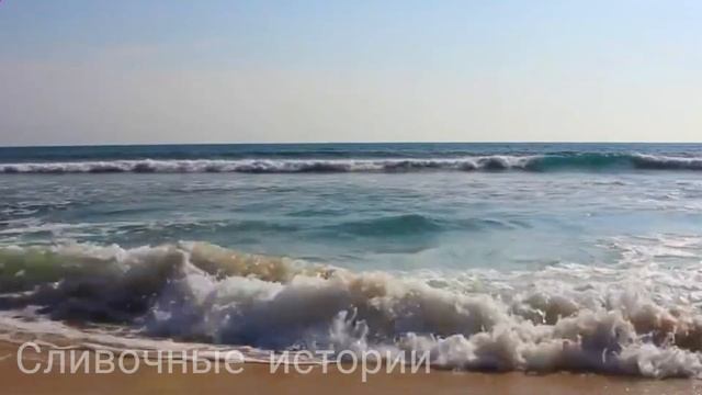 Муж красиво поставил жену на место, когда она выгоняла невестку сына, опозорив перед соседями... смотреть онлайн