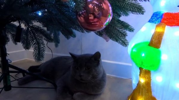 Новогодние ПОДАРКИ для Насти и Саши в новом ДОМЕ рум тур My little Nastya