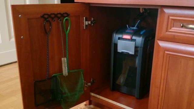 Малавийские цихлиды. 540л сине-желто-полосатых))) (для форума) смотреть онлайн