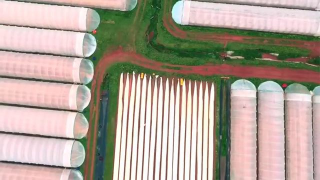 АНГЛИЯДАҒЫ ЖҰМЫСТАР СПАРЖА-2022