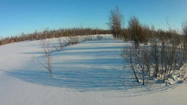 Прогулка по лесу 7 02 22 Часть 2. Безымянное озеро..mp4 смотреть онлайн