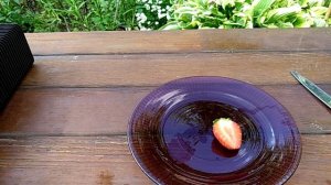 ВЕРИТИ сорт клубники НСД / клубника в Подмосковье