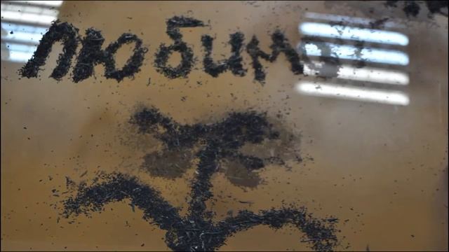 Подарок Маме Мастер класс в кинотеатре Мечта |AB | МультСтудия АКАДЕМИЯ ВОЛШЕБНИКОВ, т.89080252490 смотреть онлайн