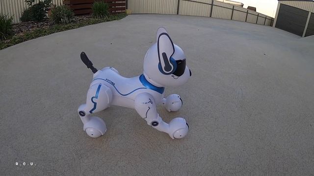 Radio Control Robot Dog From Kmart - First Look Review! смотреть онлайн