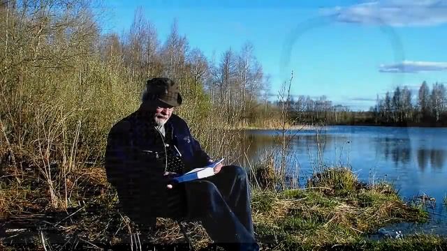 Круговая утка Сабанеев книга охотника смотреть онлайн