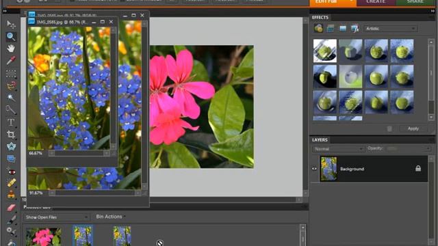 Photoshop Elements 9.0 Tutorial The Projec/tPhoto Bin Adobe Training Lesson 3.4 смотреть онлайн