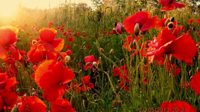 Pink ft Nate Ruess - Just Give Me a Reason - смотреть онлайн