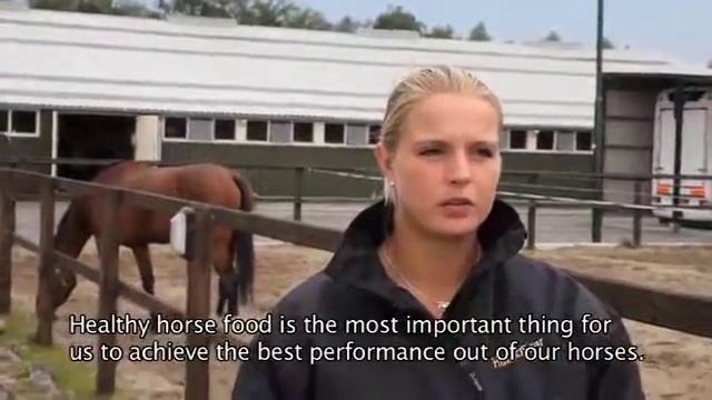 Корма для Лошадей премиум смотреть онлайн