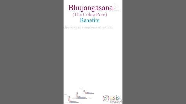 Bhujangasana | cobra pose | benefits and how to do it? #yoga #asana #shorts #health смотреть онлайн