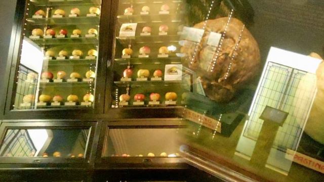 Torino: Il Museo della Frutta смотреть онлайн