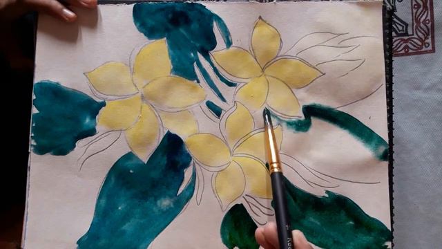 Water Color Flower (White Plumeria) Drawing for Beginners || Artist Arena смотреть онлайн