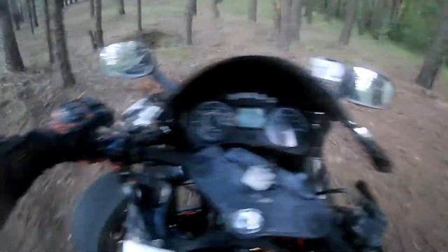 Shineray 250 .решил на квадрике (асфальтнике) по лесу покататься смотреть онлайн