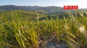 Кайсын Кулиев. Стихи. Читает Эльдар Уянаев.