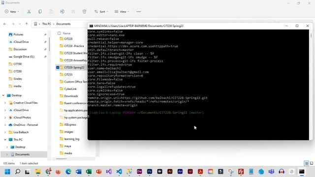 setting up a local repo and connecting to your remote repo смотреть онлайн