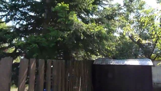 First Video With My New DMC-ZS7 (TZ10) In My Back Yard