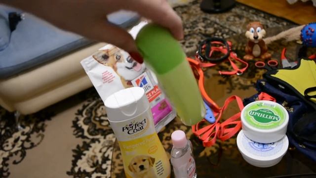 ЧТО КУПИТЬ ЩЕНКУ? | ВСЕ ДЛЯ ШПИЦА | ВЕЩИ НЕЛЬСОНА