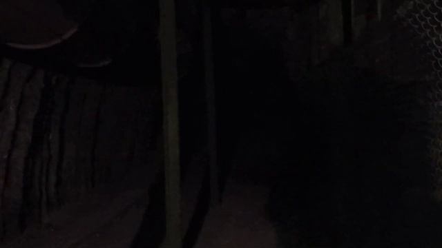 Гайморит ✓ Бронхит ✓ Астма ✓ аллергия менен оорусаңыз ° Бул жакка келиңиздер смотреть онлайн