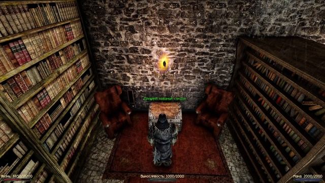 Лучшее ОРУЖИЕ в Начале Игры | 1 Глава | Готика 2 Новый Баланс смотреть онлайн