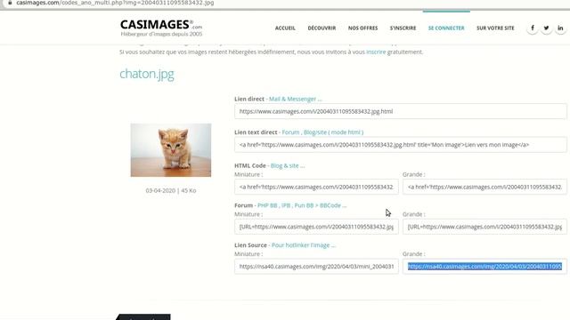 Comment insérer une image dans PhpBB смотреть онлайн