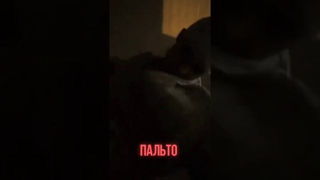 #словопацана #рекомендации #сериал #универсамовские #пальто смотреть онлайн