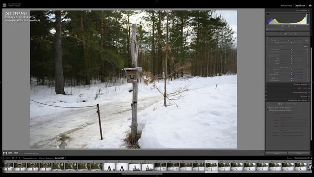 Стрим. У нас в гостях Nikon Z6II