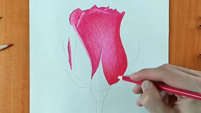 Rose Drawing: How To Draw a ROSE? With Colored Pencils | Pencil Colour Drawing смотреть онлайн