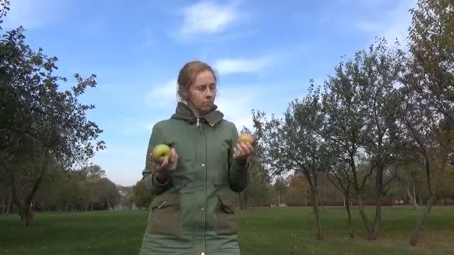 Жонглирование мячами, тростью. Мастер-класс. смотреть онлайн