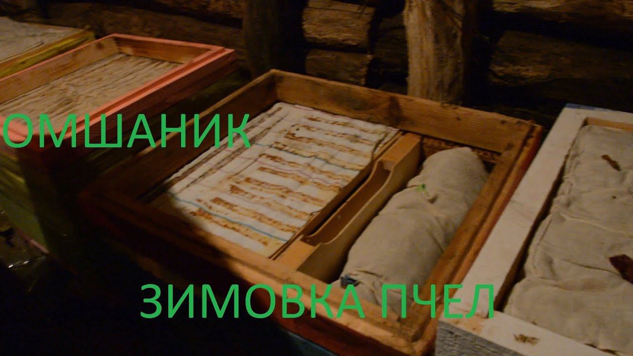 Пчеловодство | Зимовка в омшанике, как проходит зимовка пчел 2019? смотреть онлайн