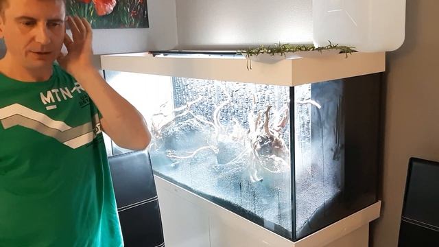 Посадка растений в аквариум (1). Травник. Запуск растительного аквариумаJUWEL 450 л. Часть 7. смотреть онлайн