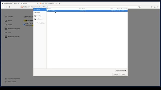 #5 Configurar el Proxy, Certificado digital en Burp Suite y Firefox Container | Curso 2023 смотреть онлайн
