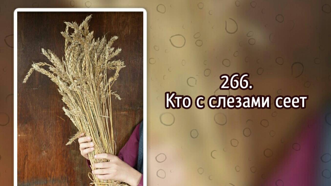 Гимны надежды 266 Кто с слезами сеет (-) смотреть онлайн