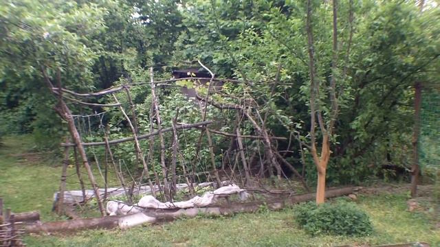 Пленэр. Рисуем цветы пастелью. Draw a pastel. @galakamsk смотреть онлайн