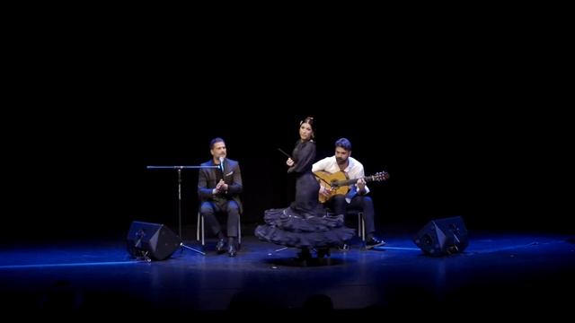 FLAMENCO SOUND SERIES -KOUBEK CENTER . ABRIL 2022 смотреть онлайн