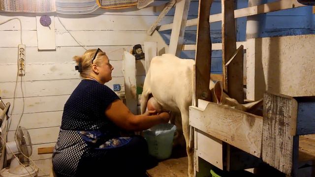 2 1 Снежка смотреть онлайн