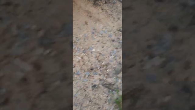 АУДИ Q5 ЗАМЕНА ЛАМПОЧЕК НА LED ДИОДЫ смотреть онлайн