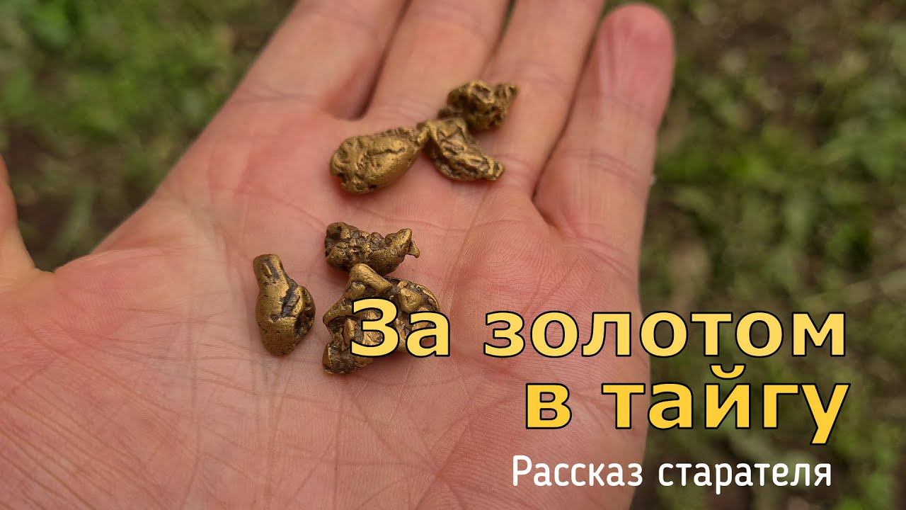 За золотом в тайгу. Рассказ вольного старателя о золотом промысле. Сколько заработать и чего бояться смотреть онлайн