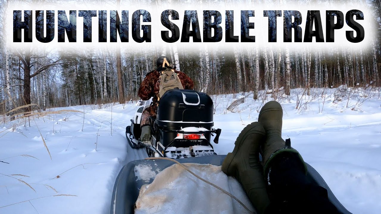 Охота на соболя капканами . В лес на снегоходе тайга варяг 550 смотреть онлайн