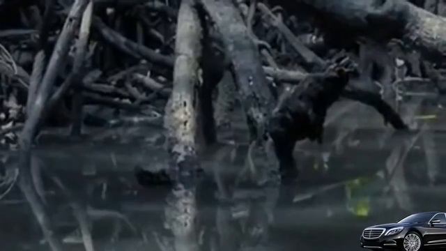 Ed Stafford - First Man Out: Borneo (Full Episode)