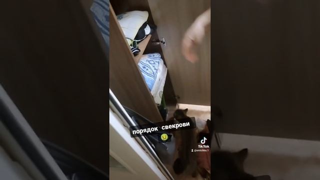 Осторожно свекровь!!!!