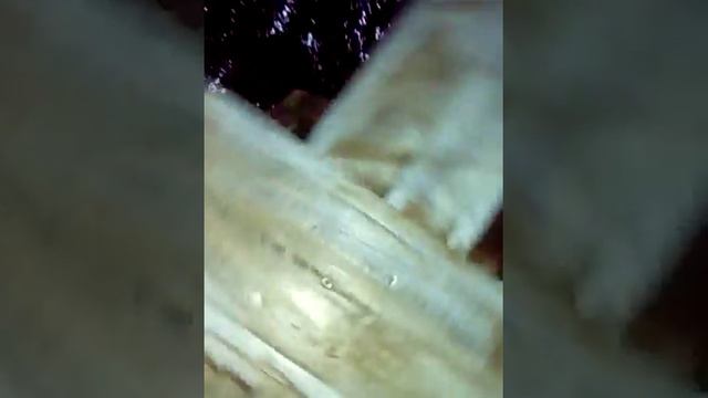 Степа оператор смотреть онлайн